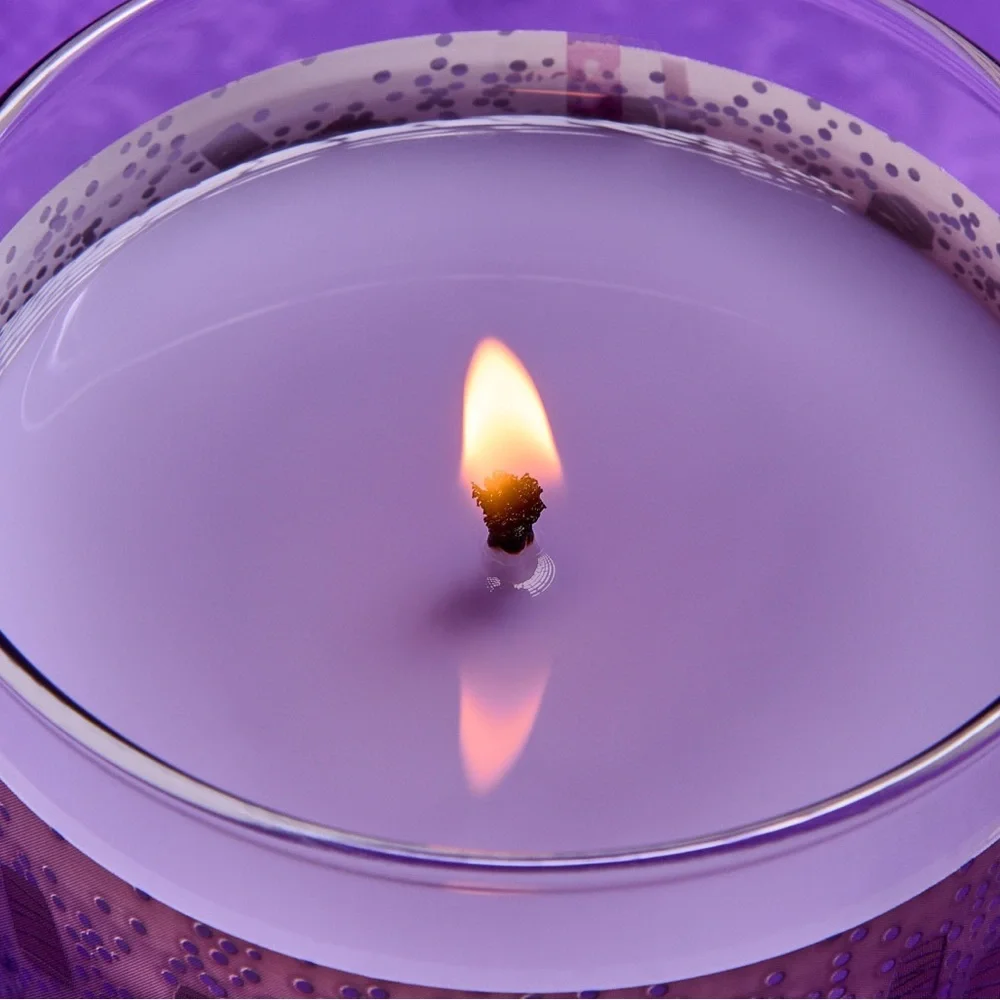 BBW DISNEY PRINCESS RAPUNZEL SINGLE WICK CANDLE NWT - Picture 5 of 7